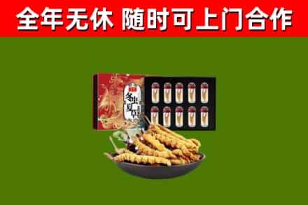 冠市回收冬虫夏草价格